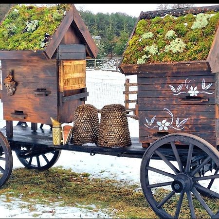 Вілла Casa Del Campo 1 Gasno Екстер'єр фото