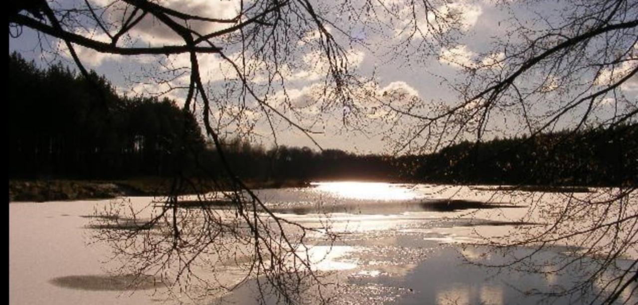 Вілла Casa Del Campo 1 Gasno Екстер'єр фото