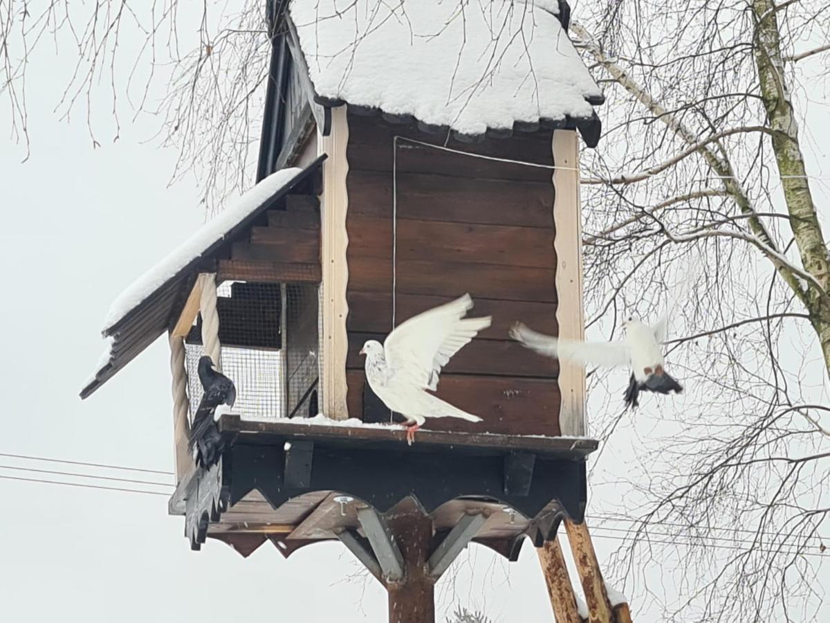 Вілла Casa Del Campo 1 Gasno Екстер'єр фото