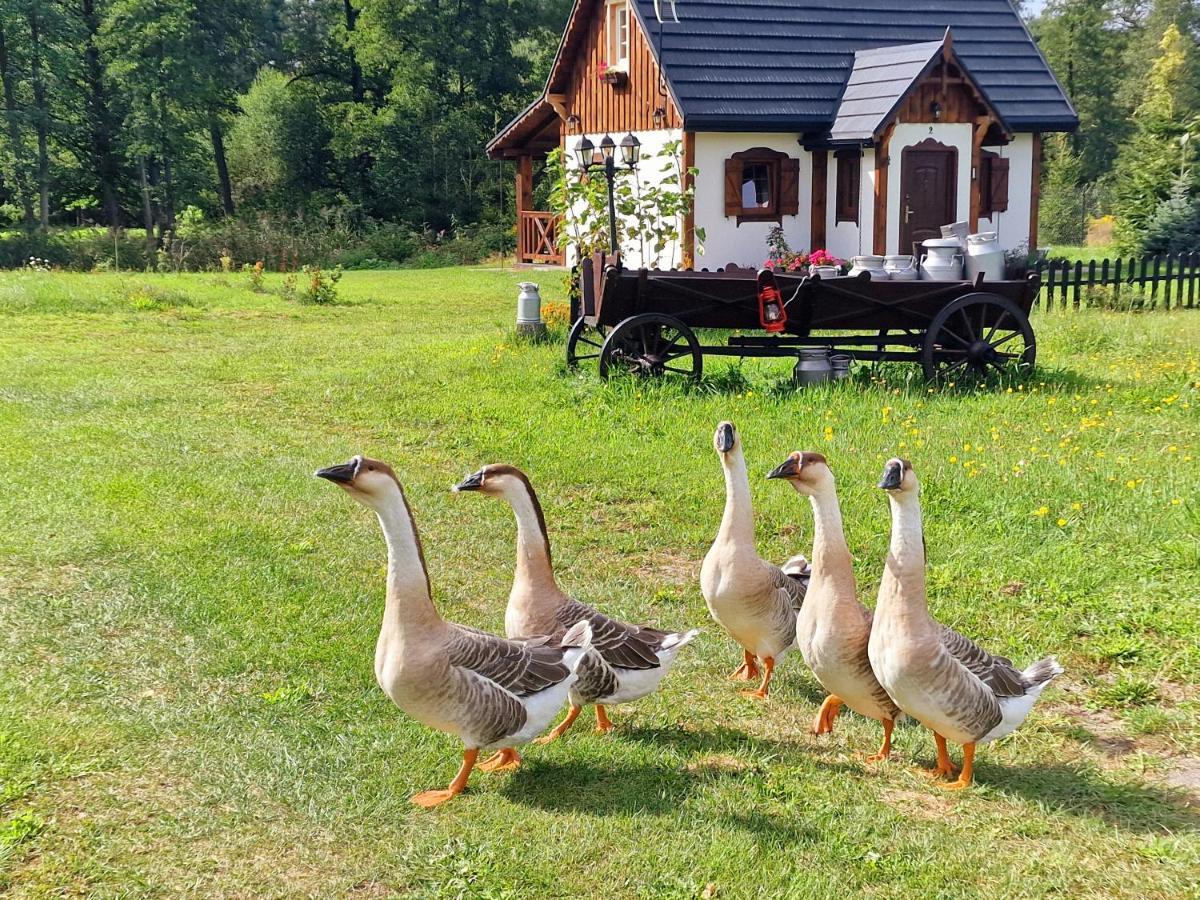 Вілла Casa Del Campo 1 Gasno Екстер'єр фото